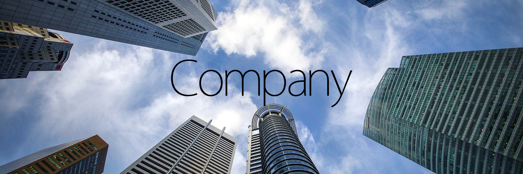 Company - 会社概要